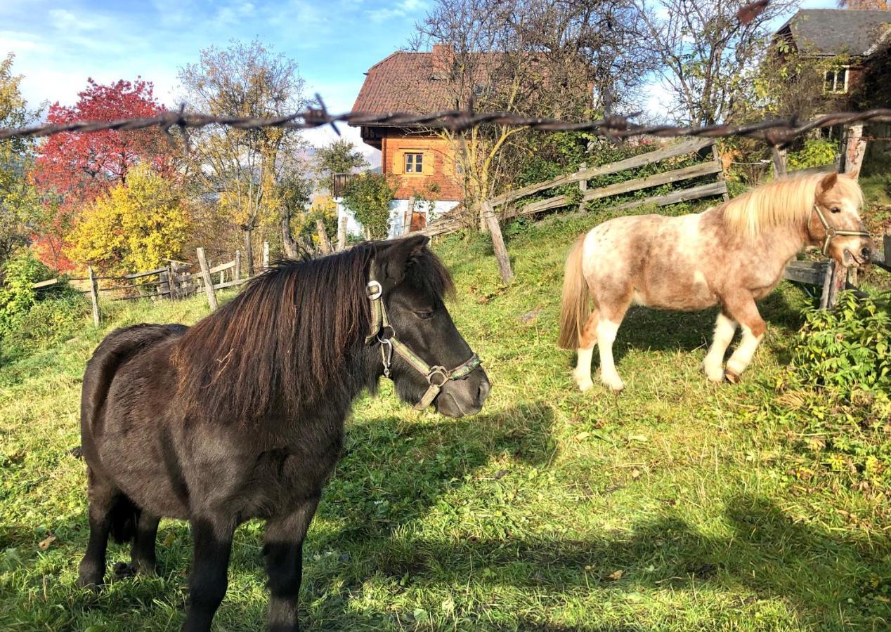 Feielhof Hotel Krakaudorf Buitenkant foto